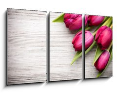 Obraz 3D tdln - 90 x 50 cm F_BS62463795 - Tulip.