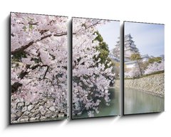 Obraz 3D tdln - 90 x 50 cm F_BS62623940 - Japanese cherry blossoms and castle in spring