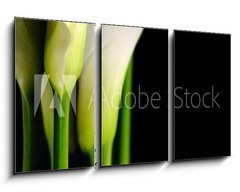 Obraz   Beautiful white Calla lilies with reflection on black background, 90 x 50 cm
