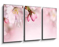 Obraz 3D tdln - 90 x 50 cm F_BS62918390 - Spring flowers background with pink blossom