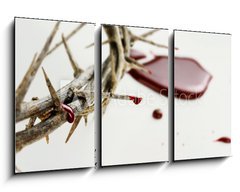 Obraz 3D tdln - 90 x 50 cm F_BS63092585 - Drops of  Blood - Kapky krve