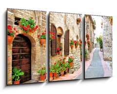 Obraz   Picturesque lane with flowers in an Italian hill town, 90 x 50 cm