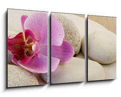 Obraz 3D tdln - 90 x 50 cm F_BS6339584 - Orchidee mit Kieseln