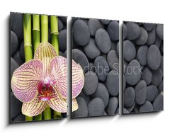Obraz 3D tdln - 90 x 50 cm F_BS63600469 - Gorgeous orchid and thin bamboo grove on pebbles