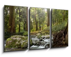 Obraz 3D tdln - 90 x 50 cm F_BS64308418 - forest waterfall