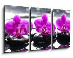 Obraz   Three orchid flower and stones with reflection in water drops, 90 x 50 cm
