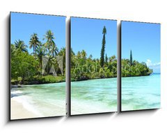 Obraz 3D tdln - 90 x 50 cm F_BS64376162 - Nouvelle caldonie