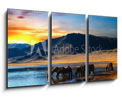 Obraz 3D tdln - 90 x 50 cm F_BS6438532 - Herd of horses in mongolian wilderness