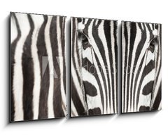 Obraz 3D tdln - 90 x 50 cm F_BS64489568 - Close-up of zebra head and body with beautiful striped pattern