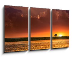 Obraz   Sunset in the agricultural areas, 90 x 50 cm