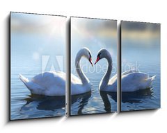 Obraz 3D tdln - 90 x 50 cm F_BS64665016 - Swans on blue lake water in sunny day - Labut na modr jezero v slunench dnech