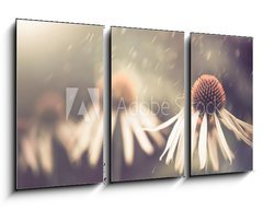 Obraz 3D tdln - 90 x 50 cm F_BS64765134 - summer flower under rain