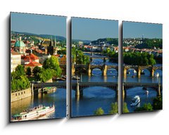 Obraz 3D tdln - 90 x 50 cm F_BS64860561 - View of Charles Bridge in Prague from Letensky gardens.