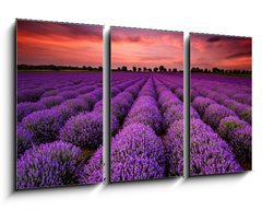 Obraz 3D tdln - 90 x 50 cm F_BS64900250 - Stunning landscape with lavender field at sunset