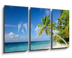 Obraz 3D tdln - 90 x 50 cm F_BS64951147 - Strand mit Palmen