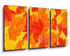 Obraz   autumn leaves, 90 x 50 cm