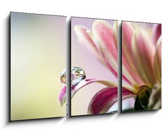 Obraz 3D tdln - 90 x 50 cm F_BS6524872 - Flower