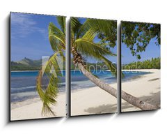 Obraz 3D tdln - 90 x 50 cm F_BS65416367 - Tropical Paradise - Fiji - South Pacific Ocean