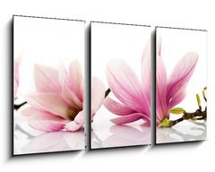 Obraz 3D tdln - 90 x 50 cm F_BS6579047 - flowers