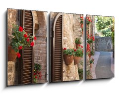 Obraz 3D tdln - 90 x 50 cm F_BS66065276 - Vicolo con fiori