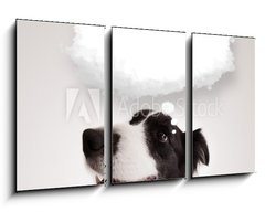 Obraz 3D tdln - 90 x 50 cm F_BS66240953 - Cute dog with empty cloud bubble