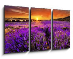 Obraz 3D tdln - 90 x 50 cm F_BS66255723 - Lavender