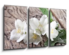 Obraz 3D tdln - 90 x 50 cm F_BS66432530 - Jasmine flowers over old wooden table.