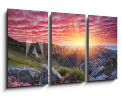 Obraz 3D tdln - 90 x 50 cm F_BS66580383 - Dawn with flowers in the mountains