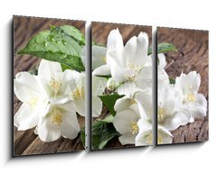 Obraz 3D tdln - 90 x 50 cm F_BS66646969 - Jasmine flowers over old wooden table.