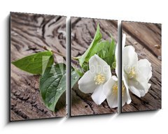 Obraz   Jasmine flowers over old wooden table., 90 x 50 cm