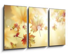 Obraz 3D tdln - 90 x 50 cm F_BS66663515 - Autumn leaves