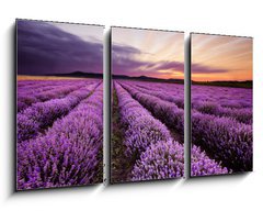 Obraz 3D tdln - 90 x 50 cm F_BS67101822 - Sunrise in Lavender Field