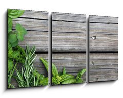 Obraz 3D tdln - 90 x 50 cm F_BS67467429 - herbs