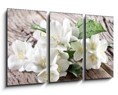 Obraz 3D tdln - 90 x 50 cm F_BS67481139 - Jasmine flowers over old wooden table.