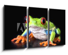 Obraz   frog closeup on black, 90 x 50 cm