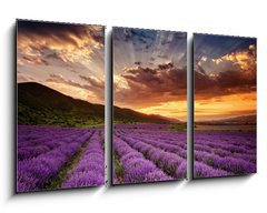 Obraz 3D tdln - 90 x 50 cm F_BS68260251 - Stunning landscape with lavender field at sunrise