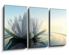 Obraz 3D tdln - 90 x 50 cm F_BS68326975 - Lotusblte im See