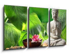 Obraz 3D tdln - 90 x 50 cm F_BS68464506 - Buddha in meditation