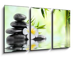 Obraz 3D tdln - 90 x 50 cm F_BS68618057 - spa massage treatment in garden with frangipani and bamboo