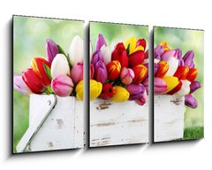 Obraz 3D tdln - 90 x 50 cm F_BS69344998 - tulips