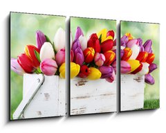 Obraz 3D tdln - 90 x 50 cm F_BS69344998 - tulips - tulipny