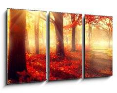 Obraz 3D tdln - 90 x 50 cm F_BS69511191 - Fall scene. Beautiful autumnal park in sunlight