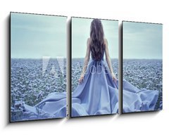 Obraz   Back view of standing young woman in blue dress, 90 x 50 cm