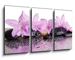 Obraz 3D tdln - 90 x 50 cm F_BS70327716 - flowers and black stones with reflection