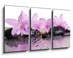 Obraz   flowers and black stones with reflection, 90 x 50 cm