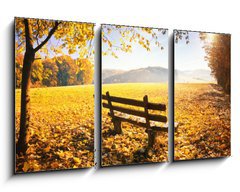 Obraz 3D tdln - 90 x 50 cm F_BS70733197 - Herbstlandschaft mit Sonnenschein