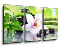 Obraz 3D tdln - 90 x 50 cm F_BS71100540 - Spa stones, bamboo branches and white orchid