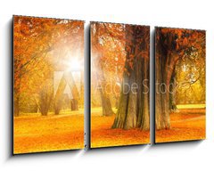 Obraz 3D tdln - 90 x 50 cm F_BS71135258 - golden october