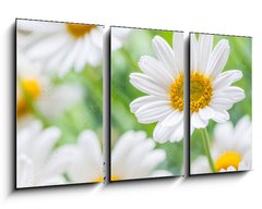 Obraz 3D tdln - 90 x 50 cm F_BS71635240 - naure power
