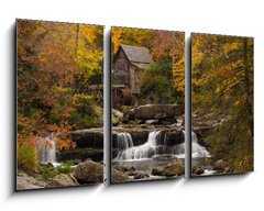 Obraz 3D tdln - 90 x 50 cm F_BS72228379 - Autumn Splendor